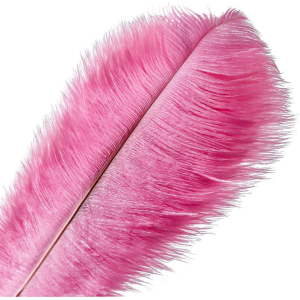 Pink Ostrich Feather | Flower Arrangements 25-30 CM Pink Ostrich Feather | Flower Arrangements 25-30 CM